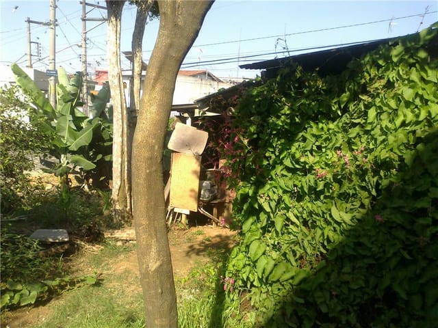 Foto do Terreno - Terreno residencial à venda, Vila Formosa, São Paulo. | ZONA LESTE IMÓVEIS