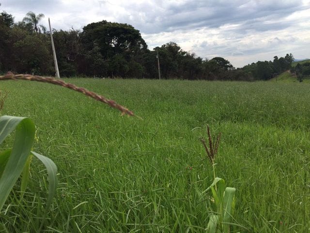 Terreno com 20000m², à venda, no bairro Rio Abaixo em Bragança Paulista