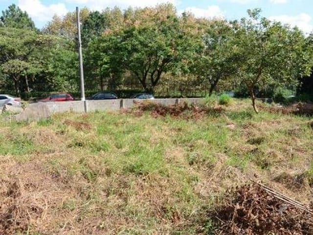 Terreno com 538m², à venda, no bairro City América em São Paulo