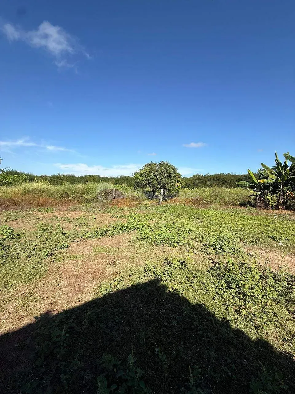 Terreno, 24 hectares - Foto 3