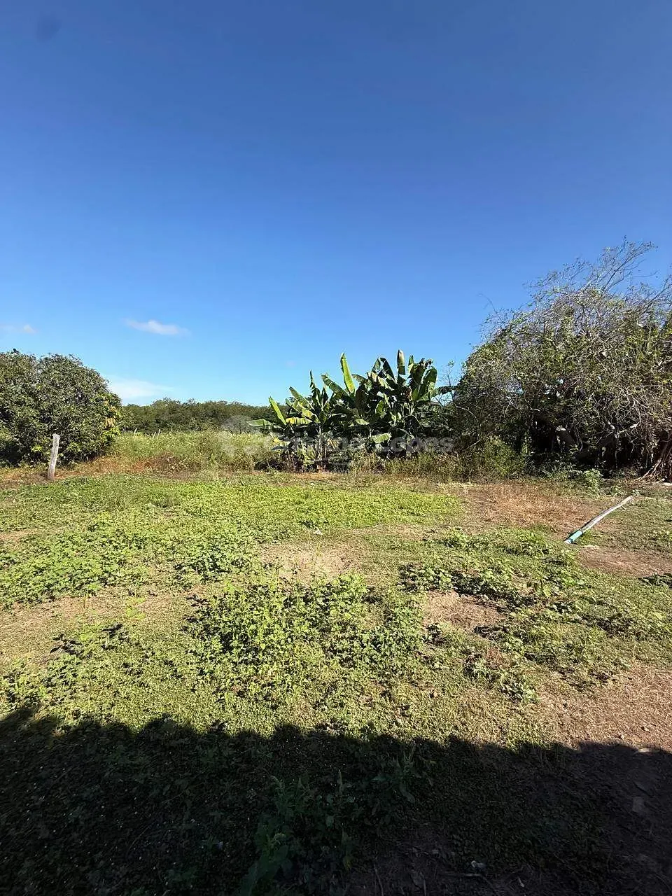Terreno, 24 hectares - Foto 4