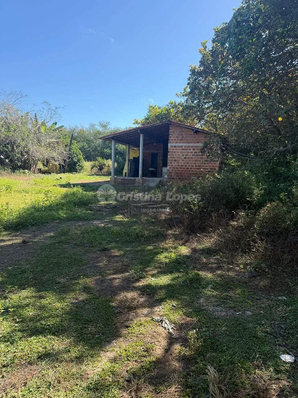 Terreno, 24 hectares - Foto 1