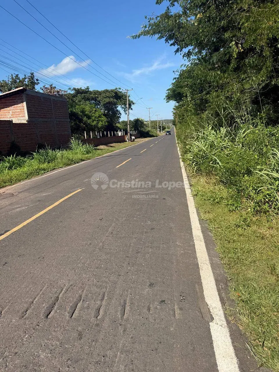Terreno, 24 hectares - Foto 2
