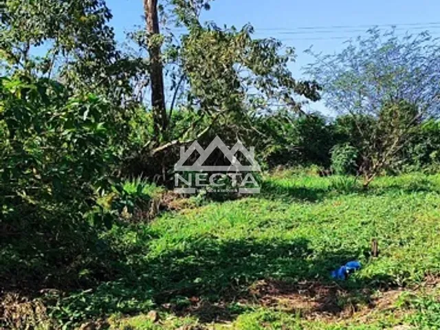 Terreno com 345m², à venda, no bairro Pegorelli em Caraguatatuba