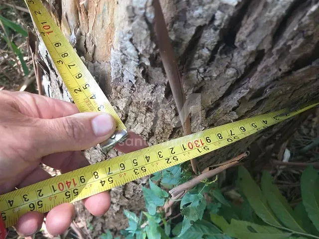 Terreno com 30m², à venda, no bairro Interior em Arvoredo
