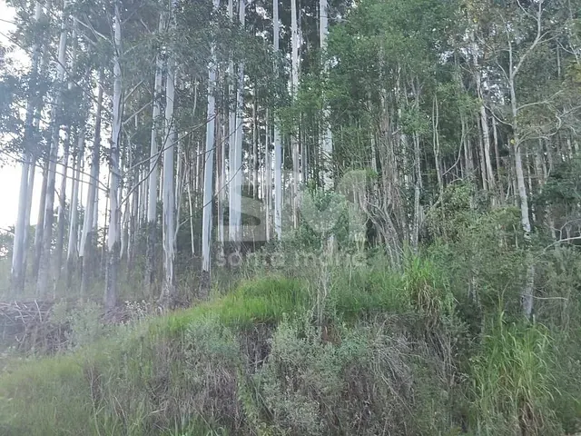 Terreno com 30m², à venda, no bairro Interior em Arvoredo