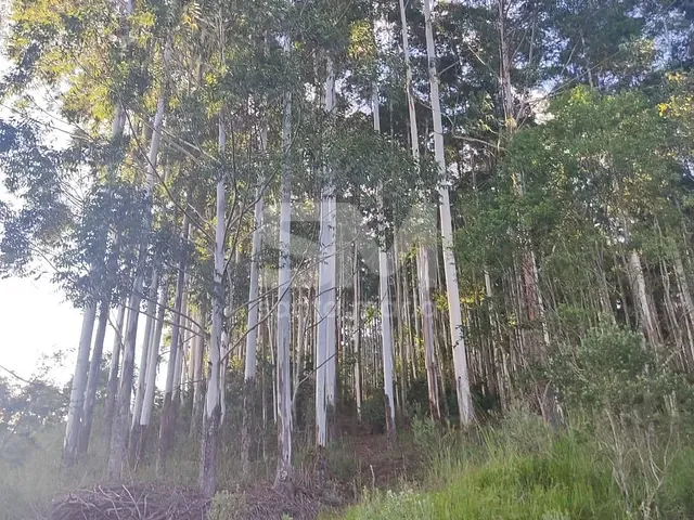 Terreno com 30m², à venda, no bairro Interior em Arvoredo