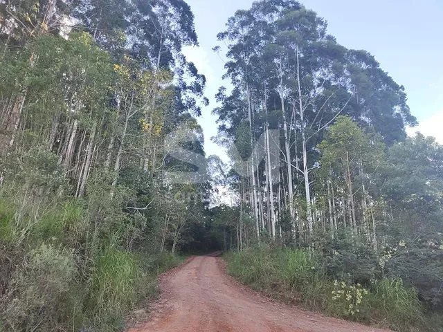 Terreno com 30m², à venda, no bairro Interior em Arvoredo