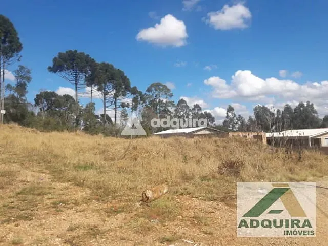 Terreno com 362m², à venda, no bairro Colônia Dona Luíza em Ponta Grossa