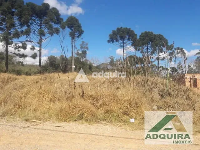 Terreno com 362m², à venda, no bairro Colônia Dona Luíza em Ponta Grossa