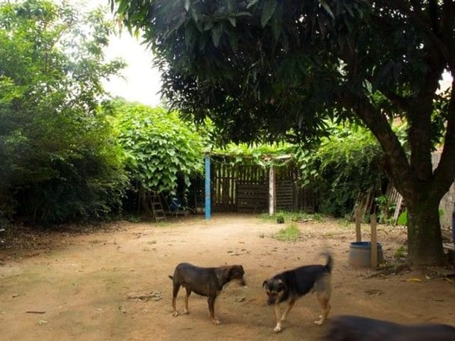 Foto do Terreno - Terreno à venda, 500 m² por R$ 580.000,00 - Chácaras Reunidas - São José dos Campos/SP | INDEPENDENCE NEGOCIOS IMOBILIARIOS LTDA