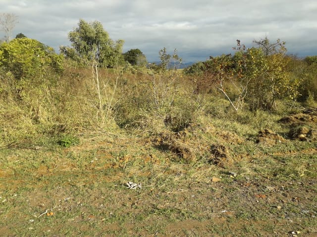 Terreno com 1000m², à venda, no bairro Parque das Garças em Guaratinguetá