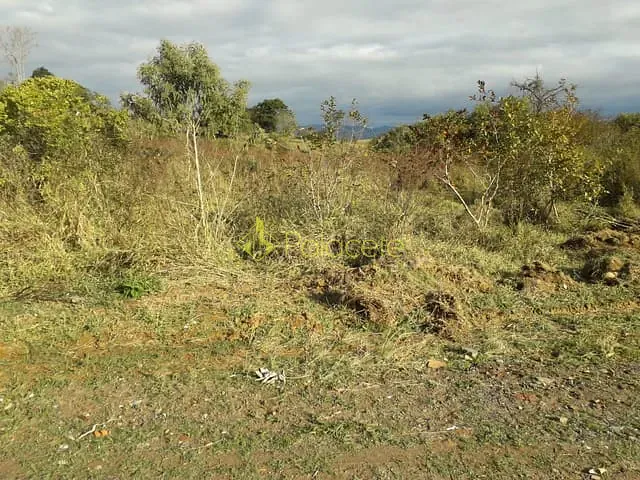 Terreno com 1000m², à venda, no bairro Parque das Garças em Guaratinguetá
