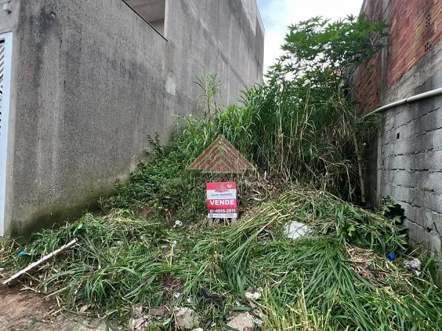 Terreno com 100m², à venda, no bairro Jardim São Francisco em São Paulo