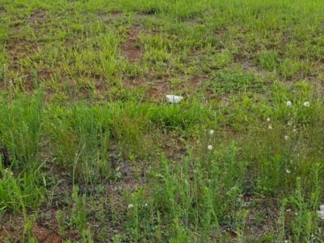 Terreno com 169m², à venda, no bairro Neves em Ponta Grossa