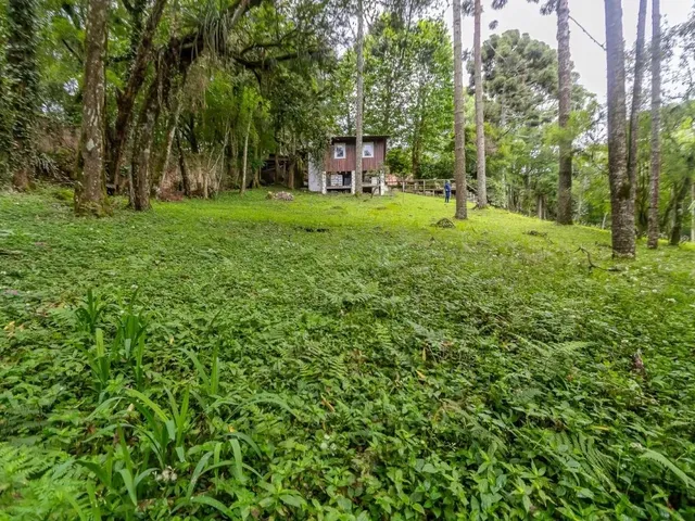 Terreno com 745m², à venda, no bairro Santa Felicidade em Curitiba