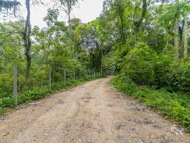 Terreno com 745m², à venda, no bairro Santa Felicidade em Curitiba