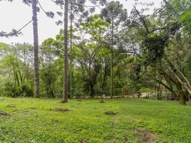 Terreno com 745m², à venda, no bairro Santa Felicidade em Curitiba