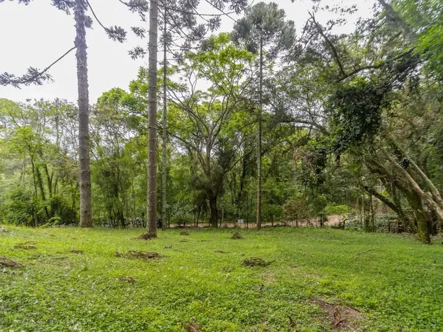 Terreno com 745m², à venda, no bairro Santa Felicidade em Curitiba