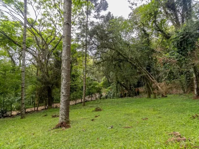Terreno com 745m², à venda, no bairro Santa Felicidade em Curitiba