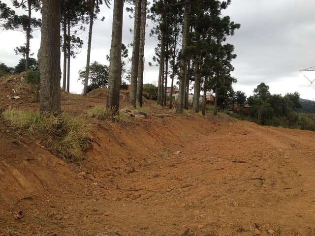 Terreno com 2740m², à venda, no bairro Jardim Sandra em Cotia