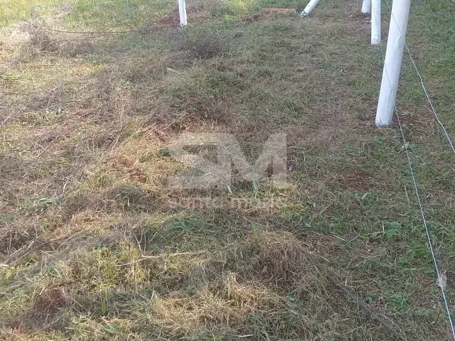 Terreno com 735m², à venda, no bairro Área Rural de Chapecó em Chapecó
