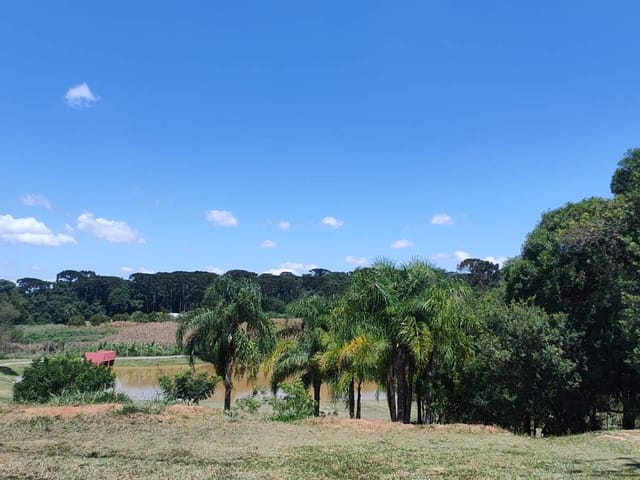 Terreno com 305m², à venda, no bairro Contorno em Ponta Grossa