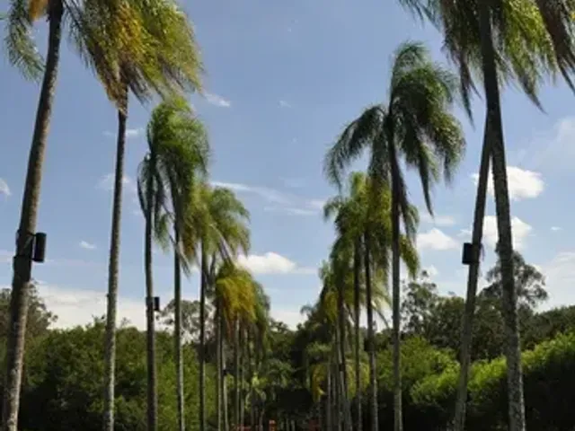 Terreno com 20000m², à venda, no bairro Jardim Martinelli (Sousas) em Campinas