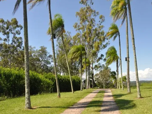 Terreno com 20000m², à venda, no bairro Jardim Martinelli (Sousas) em Campinas