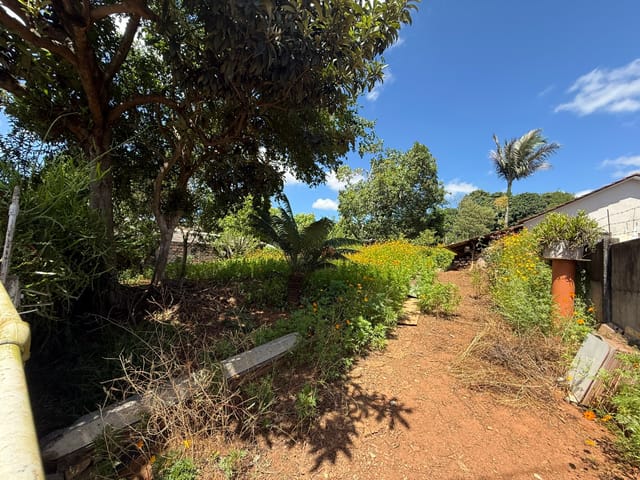 Terreno com 1200m², à venda, no bairro Oficinas em Ponta Grossa