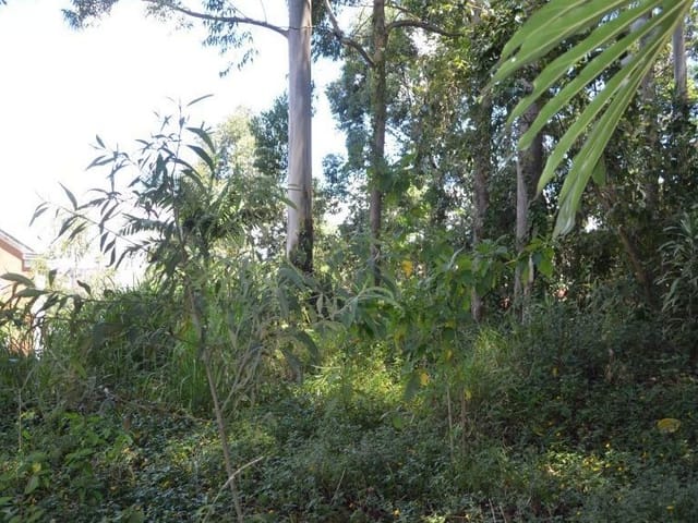 Terreno com 1745m², à venda, no bairro Fazenda Morumbi em São Paulo
