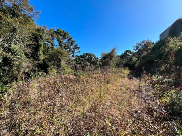 Foto do Terreno - Terreno em Condomínio com Projeto Construtivo aprovado à venda, 740 m² por R$ 450.000,00 - Condomínio Fechado  - Campos do Jordão/SP | Campos & Co. Imóveis