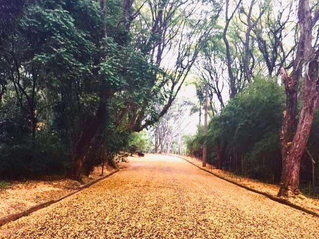 Terreno com 1360m², à venda, no bairro Joaquim Egídio em Campinas