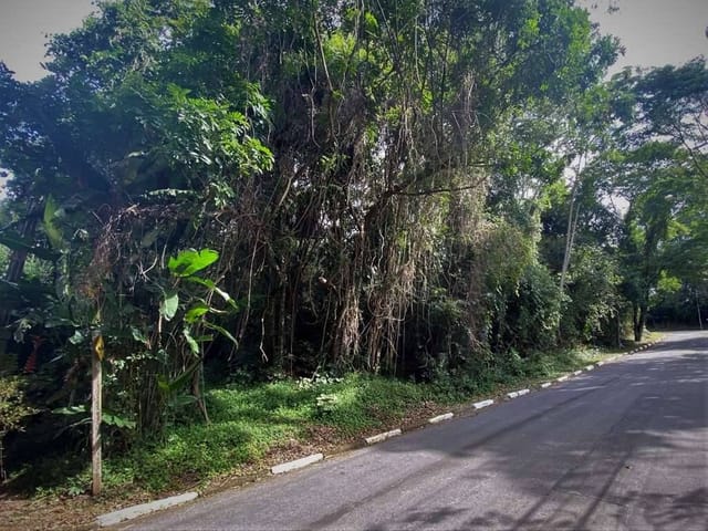 Terreno com 1403m², à venda, no bairro Algarve em Cotia