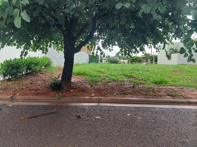 Terreno com 284m², à venda, no bairro Jardim Pinheiros em Birigüi