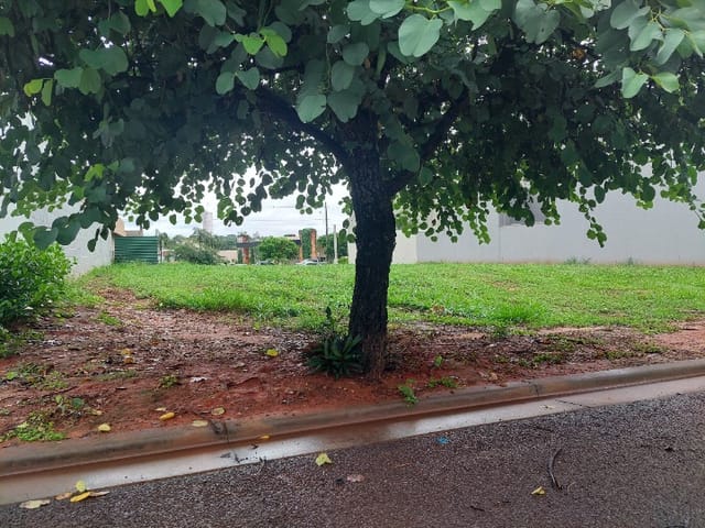Terreno com 284m², à venda, no bairro Jardim Pinheiros em Birigüi