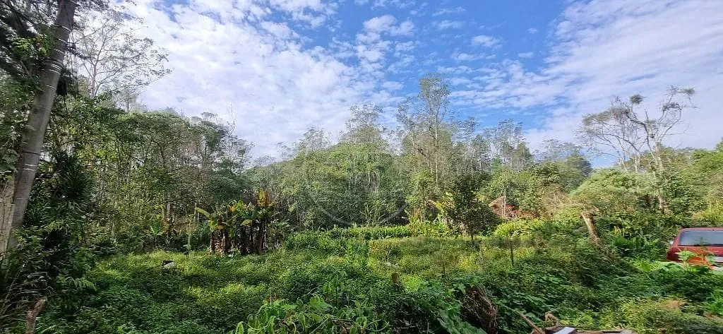 Terreno, 4800 m² - Foto 6