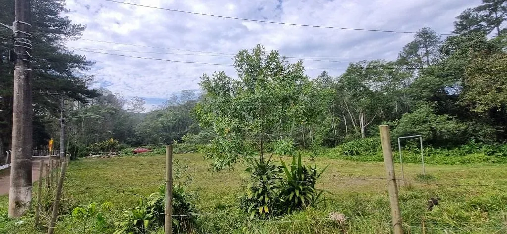 Terreno, 4800 m² - Foto 9