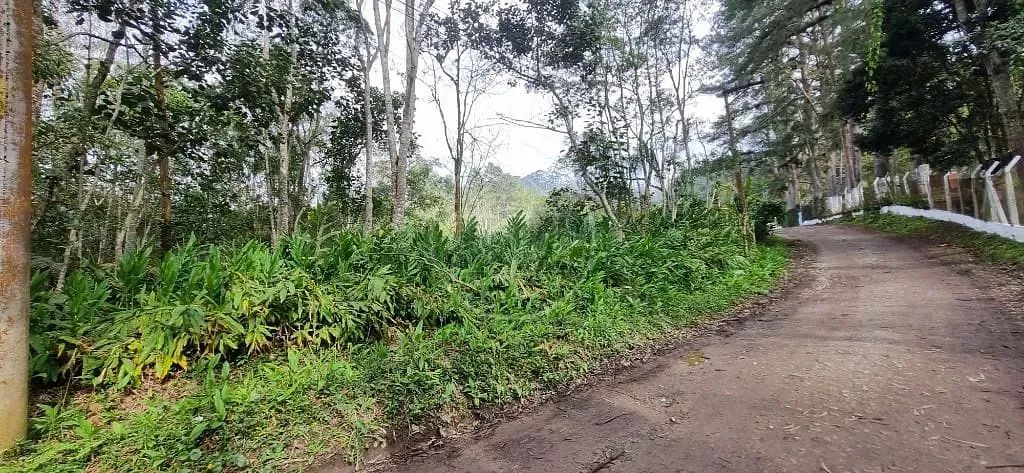 Terreno, 4800 m² - Foto 7