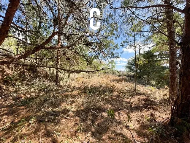 Terreno com 1080m², à venda, no bairro Vila Porã em Campos do Jordão