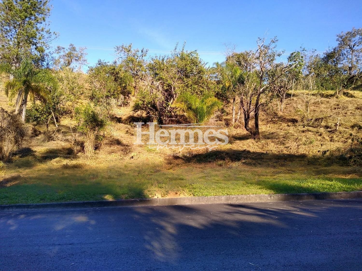 Terreno, 1740 m² - Foto 3