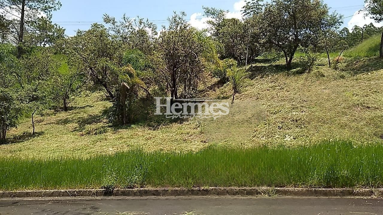 Terreno, 1740 m² - Foto 4