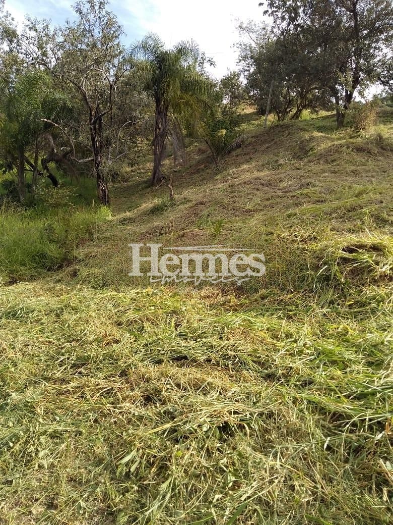 Terreno, 1740 m² - Foto 5