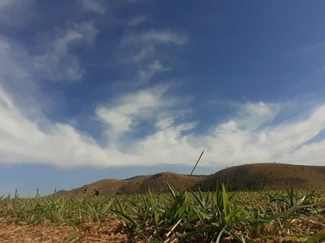 Foto do Terreno - Terreno à venda, 2000 m² por R$ 129.000,00 - Água Soca - São José dos Campos/SP | INDEPENDENCE NEGOCIOS IMOBILIARIOS LTDA