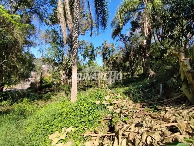 Terreno com 562m², à venda, no bairro Dos Estudantes em Ipira