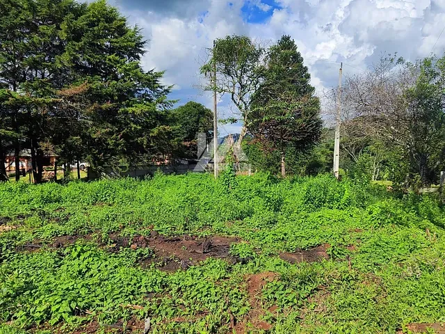 Terreno com 1032m², à venda, no bairro Santana em Guarapuava