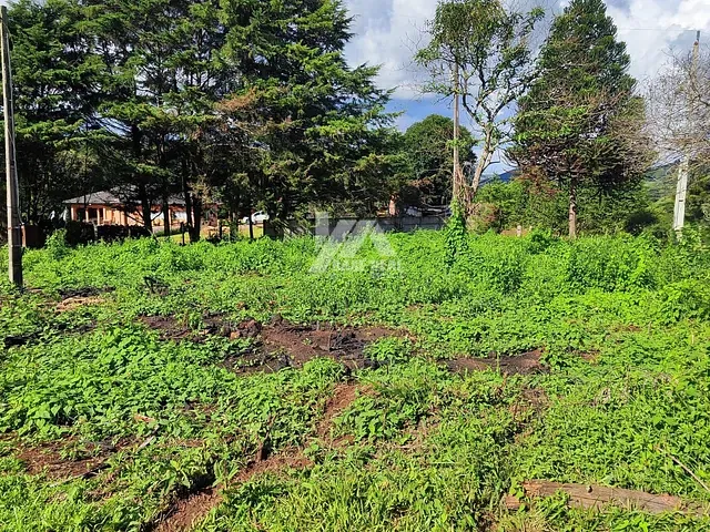 Terreno com 1032m², à venda, no bairro Santana em Guarapuava