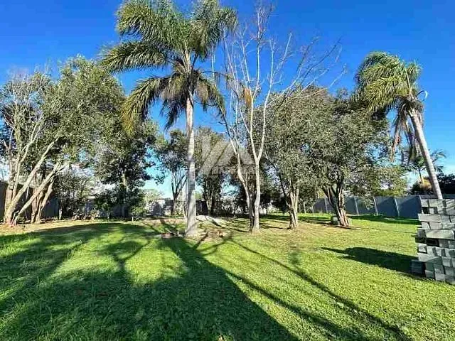 Terreno com 2000m², à venda, no bairro Colônia Dona Luíza em Ponta Grossa
