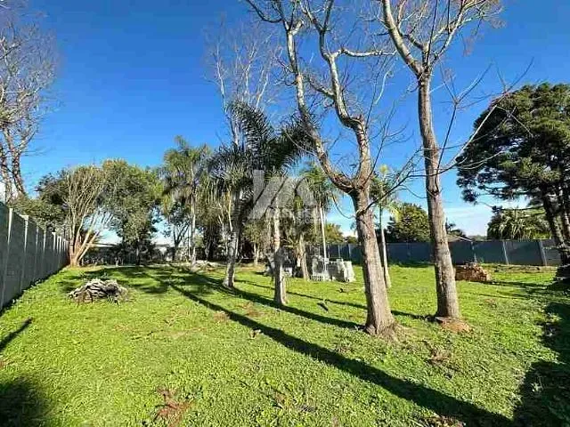 Terreno com 2000m², à venda, no bairro Colônia Dona Luíza em Ponta Grossa
