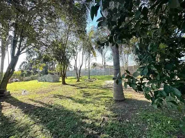 Terreno com 2000m², à venda, no bairro Colônia Dona Luíza em Ponta Grossa